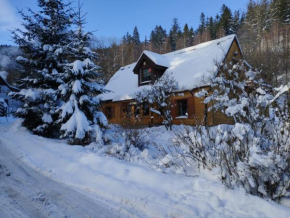 Dom całoroczny JÓZEFINKA w Karkonoszach